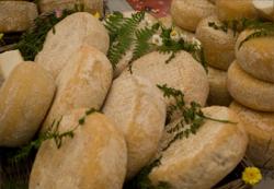 fromage-corse.jpg